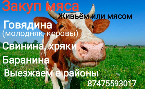 Закуп мяса Петропавловск
