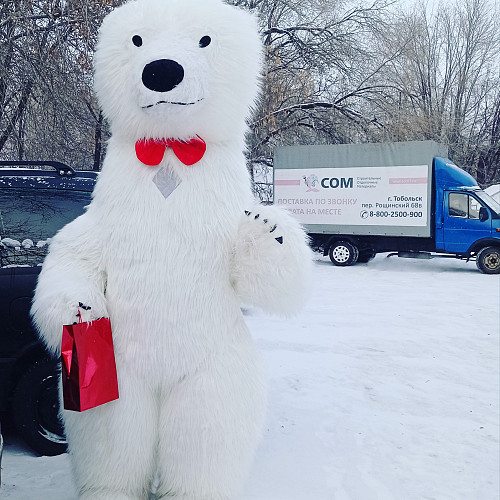Мишка Петропавловск. Петропавловск