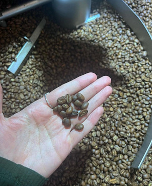 зеленые зерна кофе рабуста продаем в наличие 800кг Нур-Султан