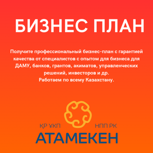 Качественные бизнес-планы с расчетами на заказ Алматы