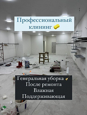 Уборка профессиональная домов квартир коммерческих помещений офисы Алматы Алматы