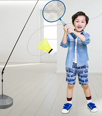 Домашний бадминтон Астана