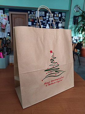 Новогодние бумажные пакеты Караганда