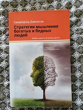 Книгу С. Давлатов "Стратегии мышления богатых и бедных людей". Усть-Каменогорск