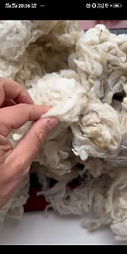 Шерсть мериноса мытая Шымкент