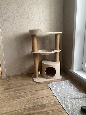 Кошкин дом Костанай