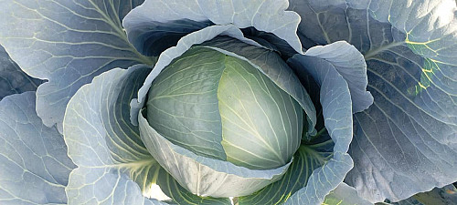 ИП ЮГ ТРЕЙД Сарыагаш