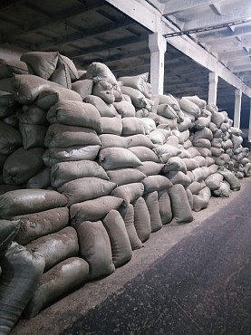 Шелуха лузга подсолнечника в мешках из ВКО продам Алматы