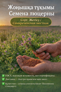 Жонышка урык, Семена Люцерны Шымкент
