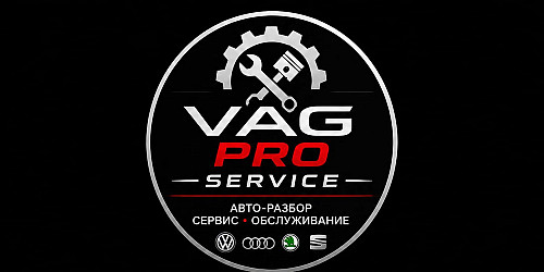 Автосервис Vag Pro Service Алматы